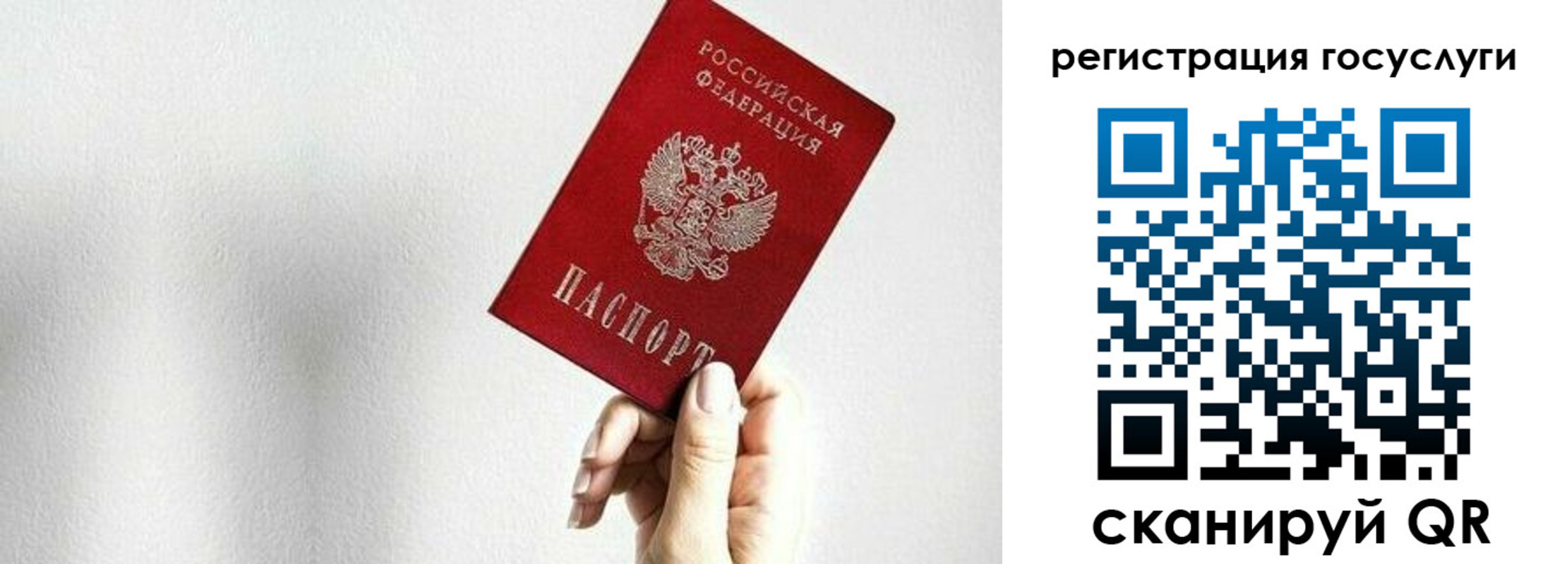 прописка гарантия в Киришах